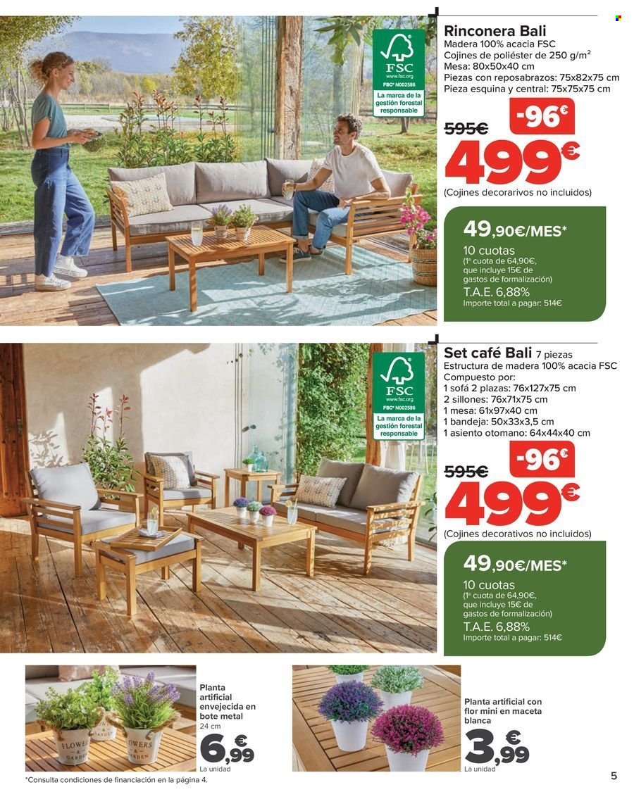 thumbnail - Folleto actual Carrefour - 18/04/24 - 16/05/24 - Ventas - mueble de jardín, planta artificial. Página 5.