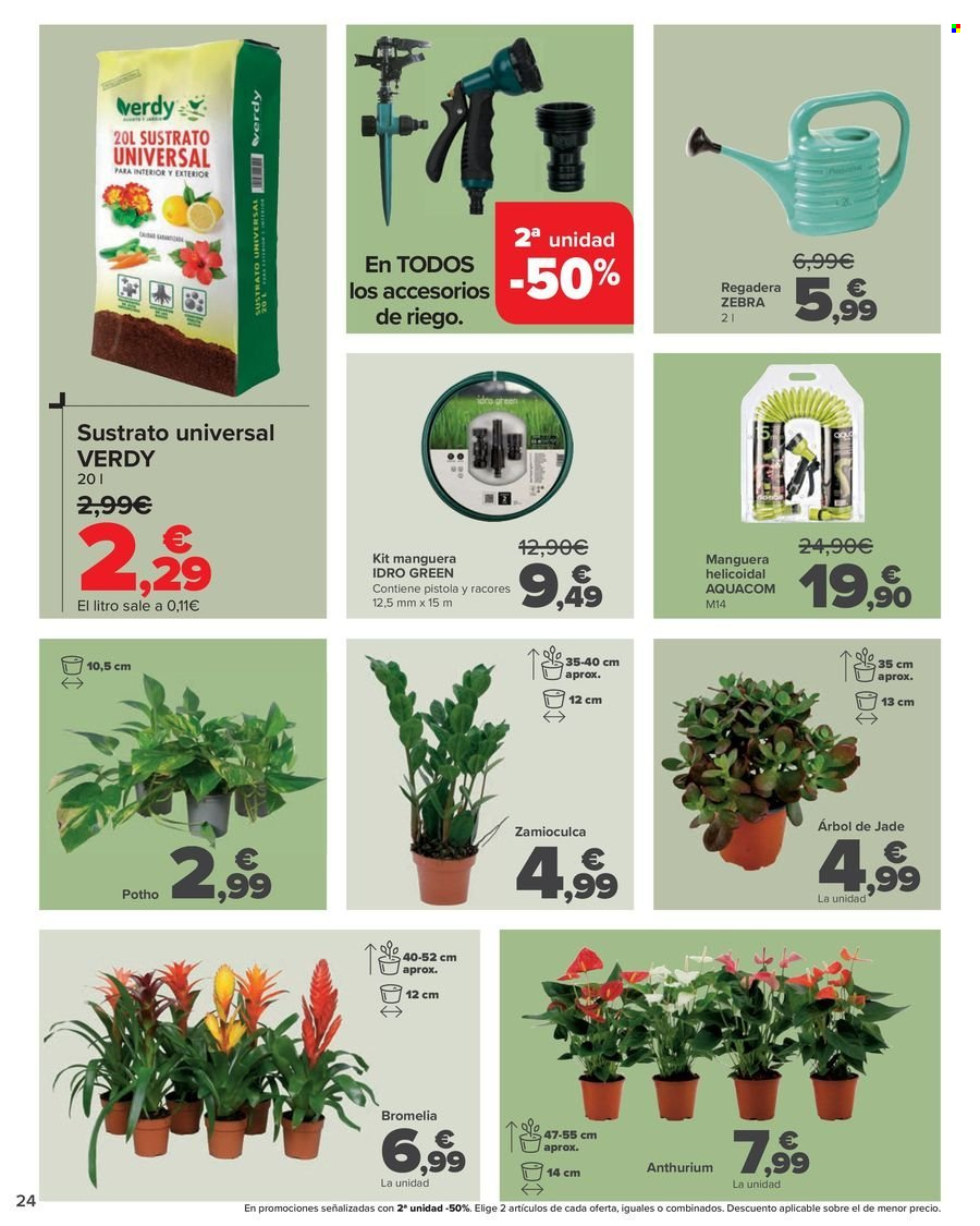 thumbnail - Folleto actual Carrefour - 18/04/24 - 16/05/24 - Ventas - regadera, planta verde, anthurium, bromelia, manguera, accesorios de riego, potho, sustrato para plantas. Página 24.