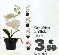 thumbnail - Orquídea