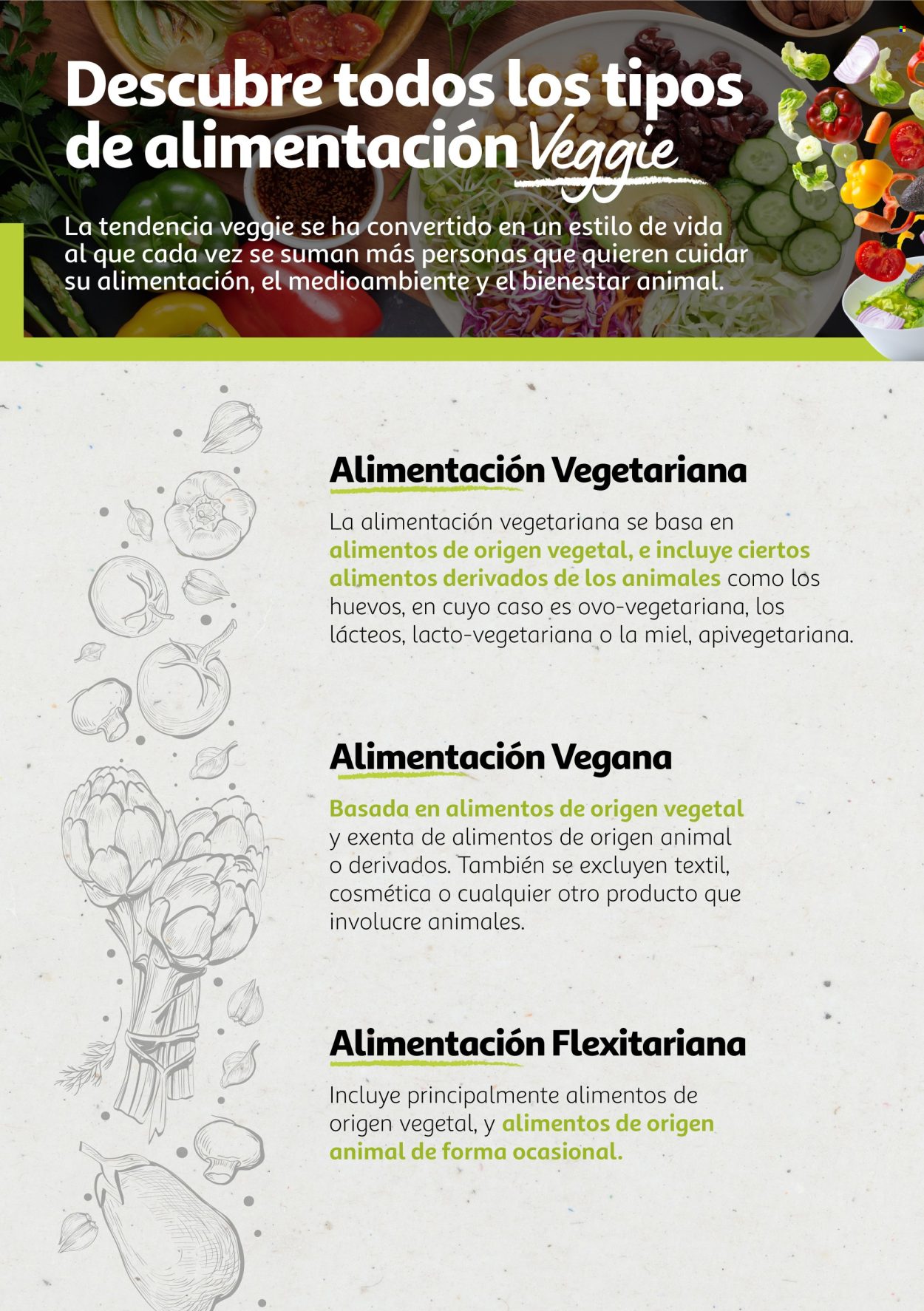 Folleto Alcampo - 06/08/24 - 31/12/25. Página 1