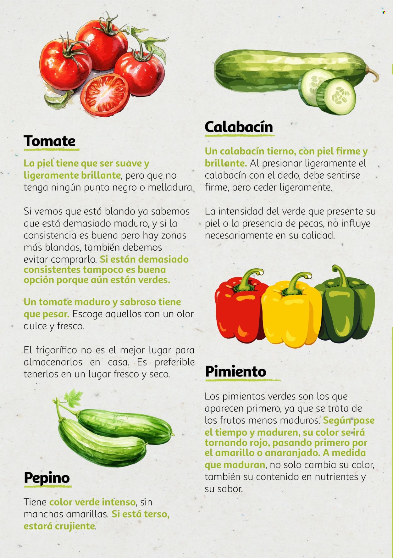 Folleto Alcampo - 06/08/24 - 31/12/25. Página 1