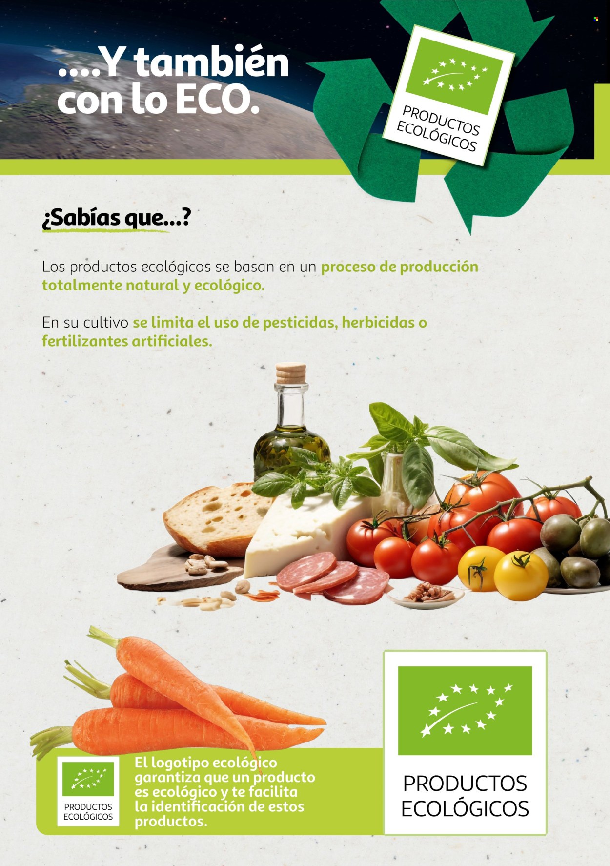 Folleto Alcampo - 06/08/24 - 31/12/25. Página 1