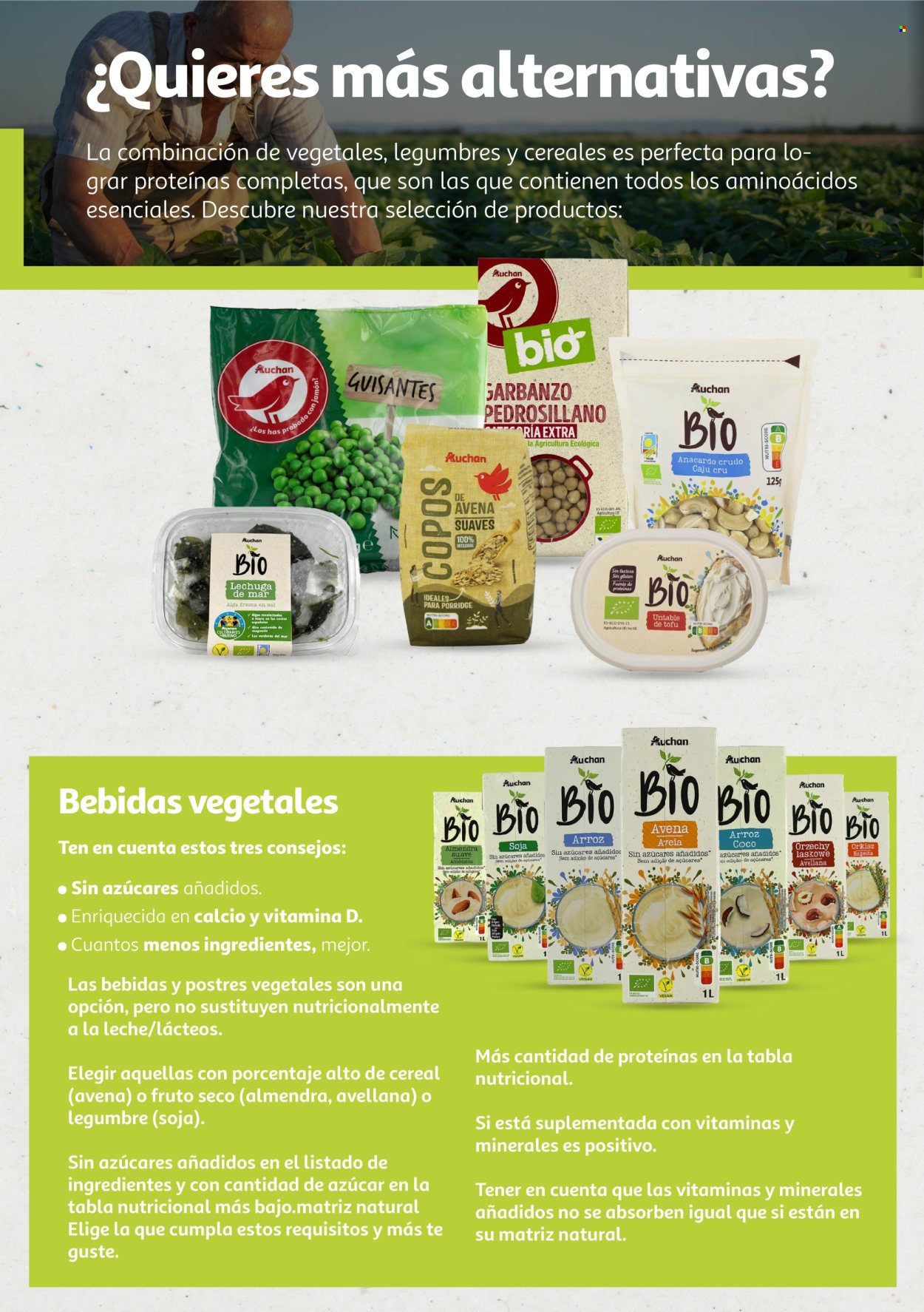 Folleto Alcampo - 06/08/24 - 31/12/25. Página 1