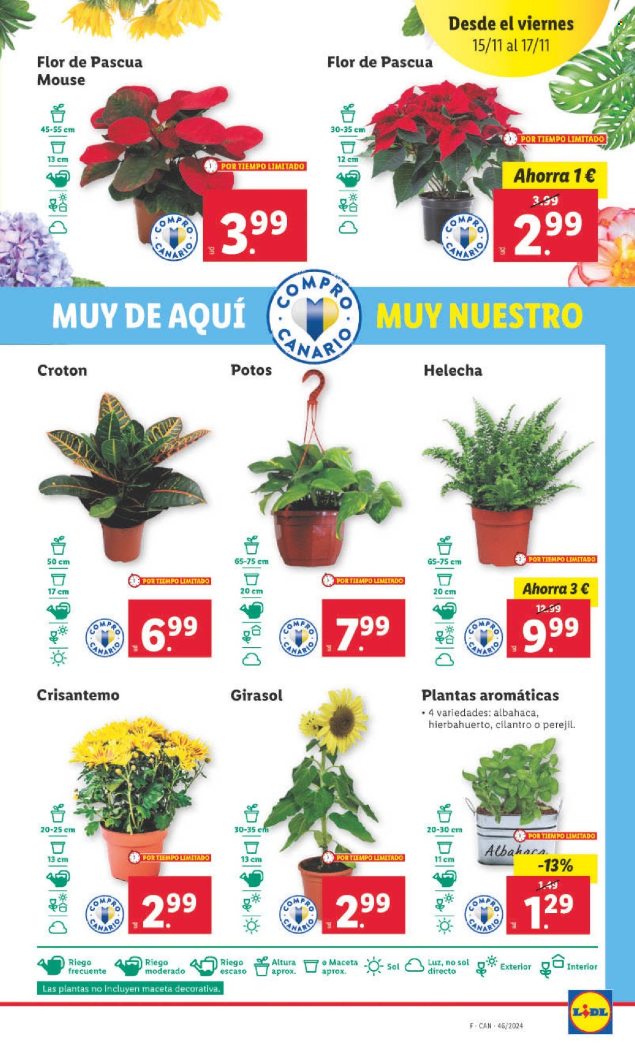 Folleto Lidl - 11/11/24 - 17/11/24. Página 1