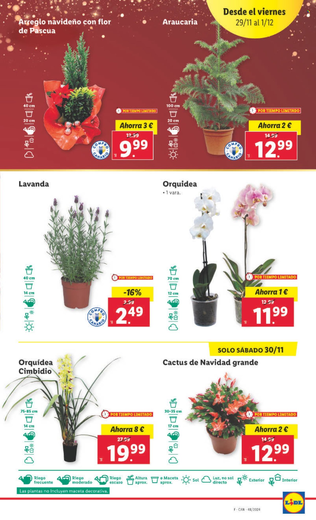 Folleto Lidl - 25/11/24 - 01/12/24. Página 1