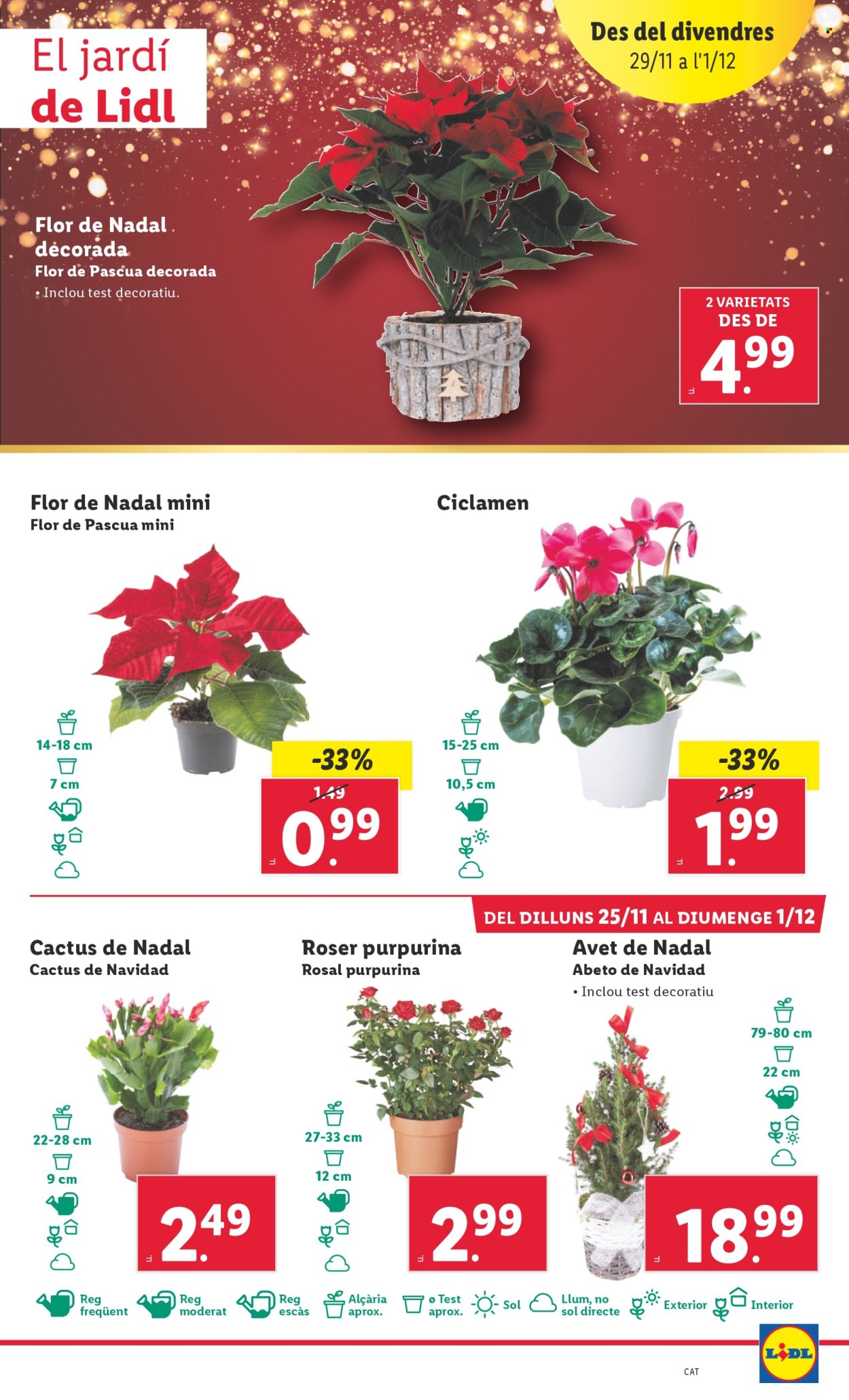 Folleto Lidl - 25/11/24 - 01/12/24. Página 1