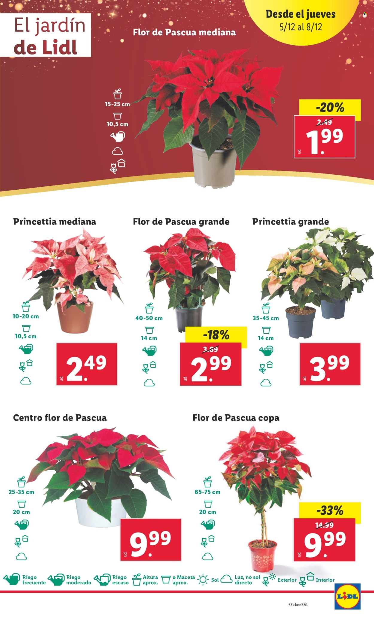 Folleto Lidl - 02/12/24 - 08/12/24. Página 1