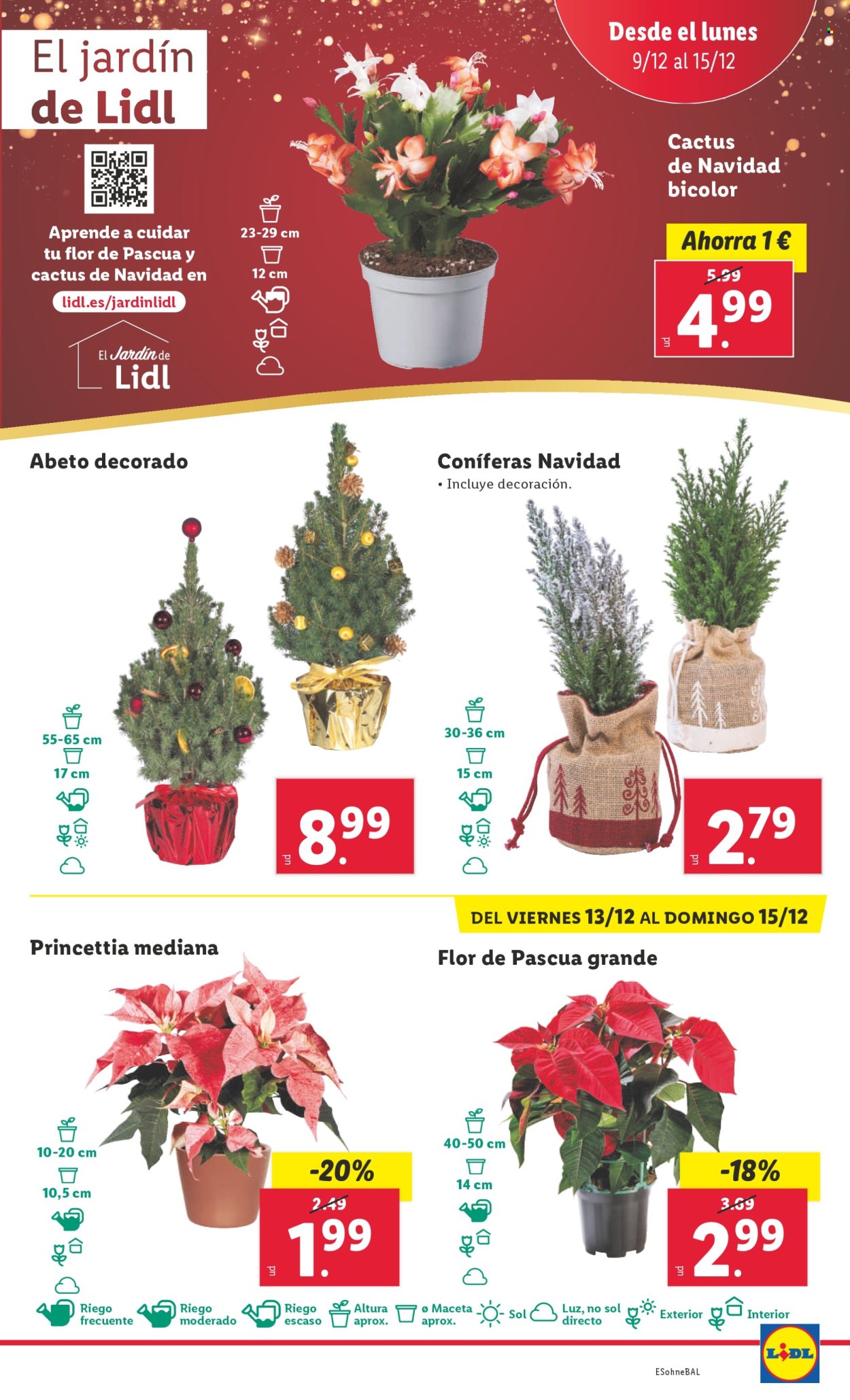 Folleto Lidl - 09/12/24 - 15/12/24. Página 1