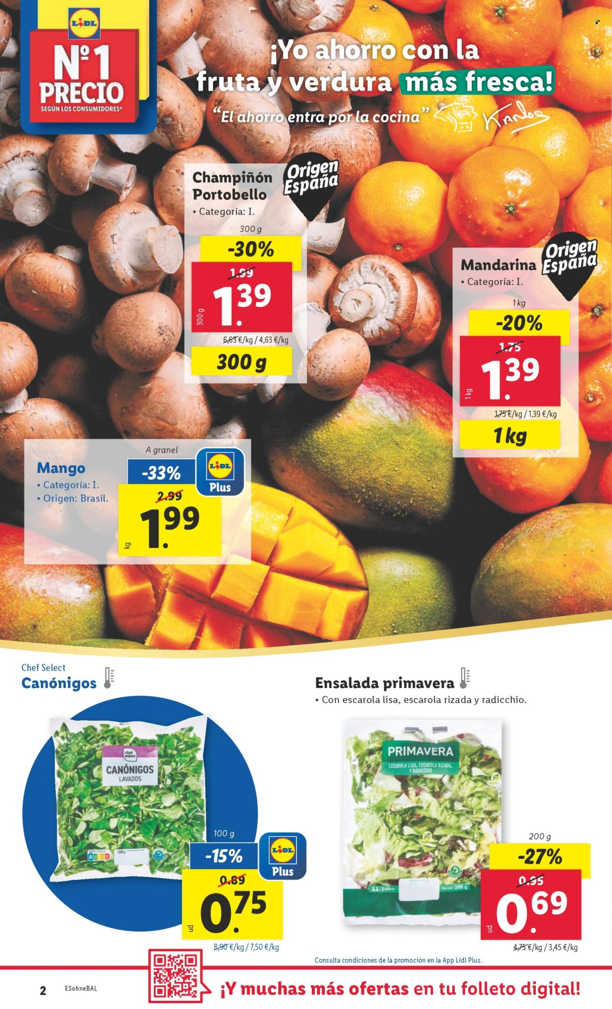 Folleto Lidl - 09/12/24 - 15/12/24. Página 1