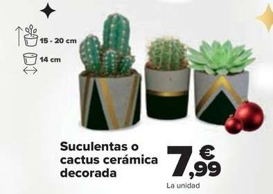 Suculentas O Cactus Cerámica Decorada