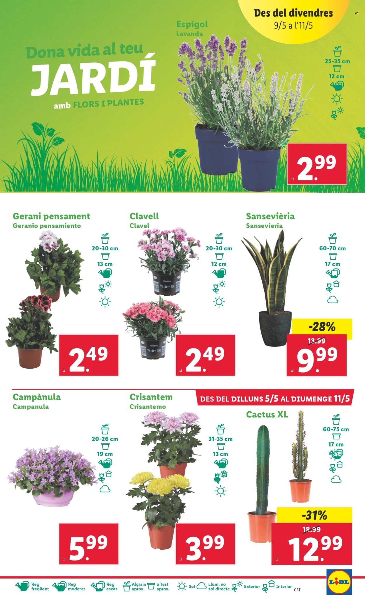 Folleto Lidl - 05/05/25 - 11/05/25. Página 1