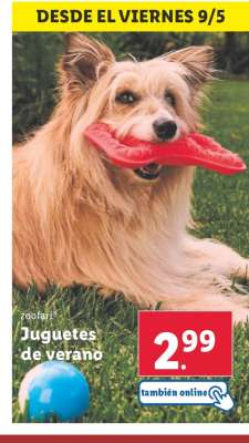 Juguetes de verano