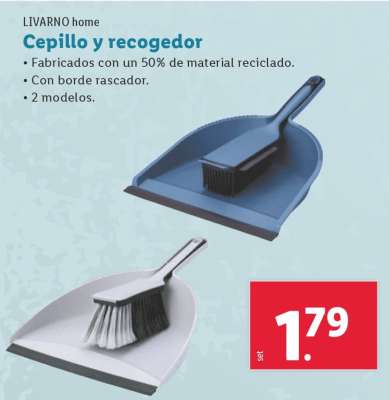 Cepillo y recogedor