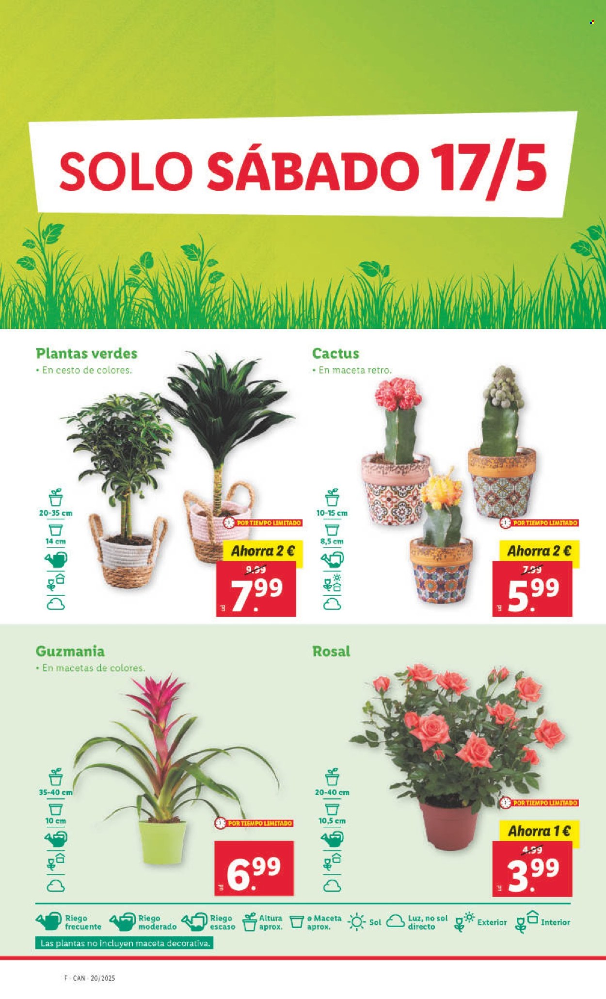 Folleto Lidl - 12/05/25 - 18/05/25. Página 1