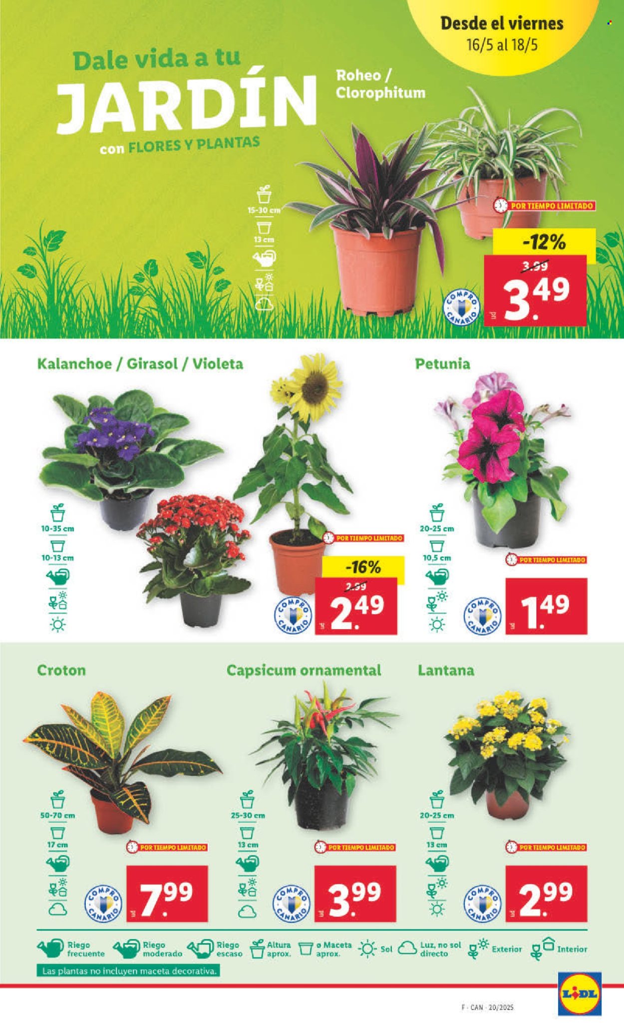 Folleto Lidl - 12/05/25 - 18/05/25. Página 1