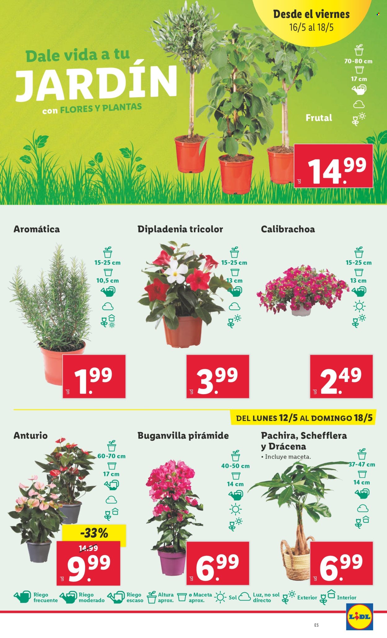 Folleto Lidl - 12/05/25 - 18/05/25. Página 1