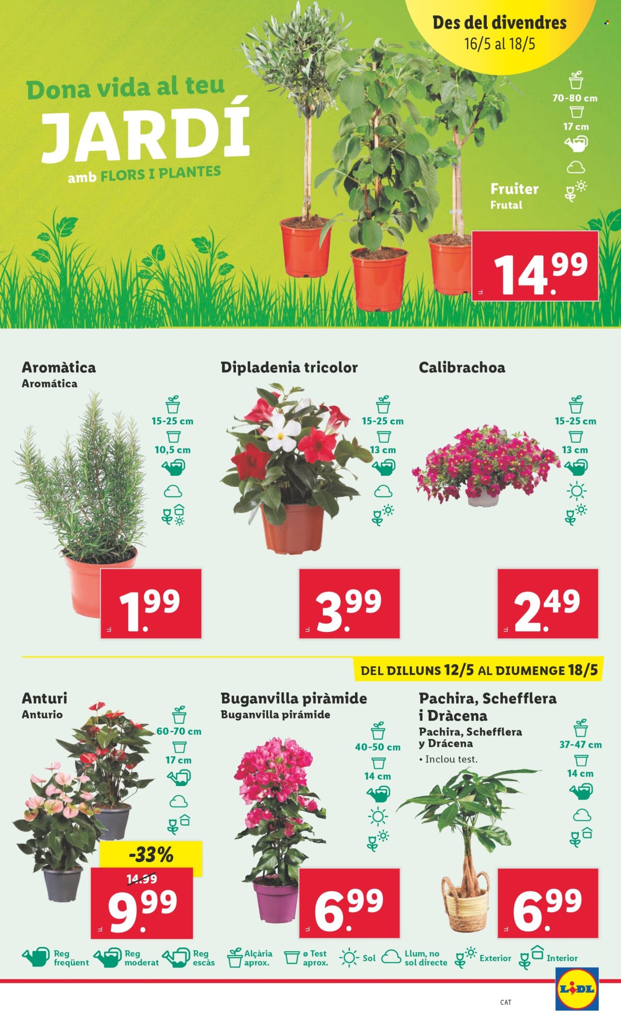 Folleto Lidl - 12/05/25 - 18/05/25. Página 1