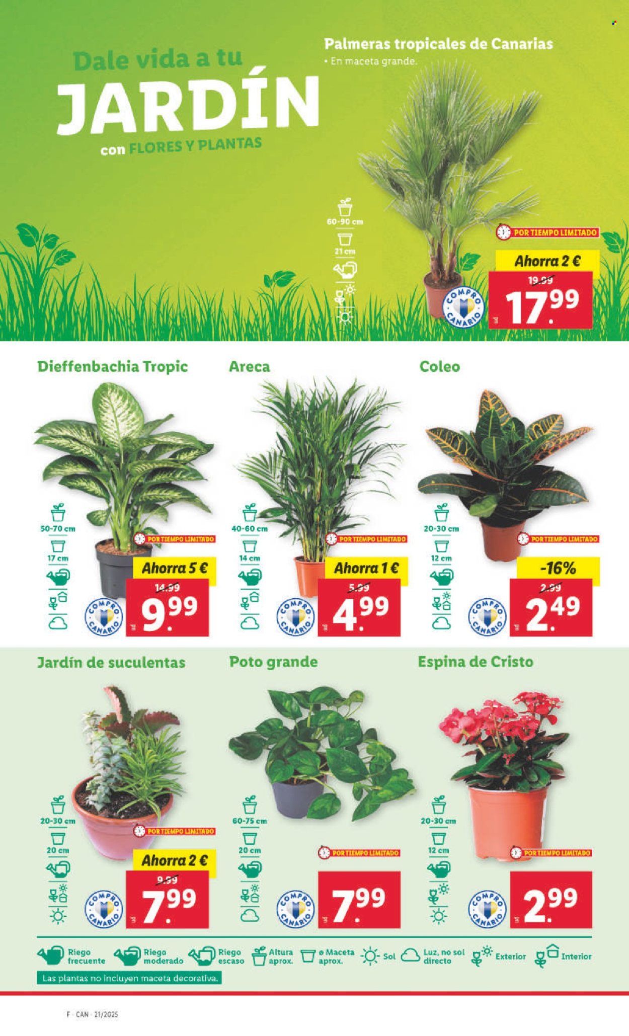Folleto Lidl - 19/05/25 - 25/05/25. Página 1