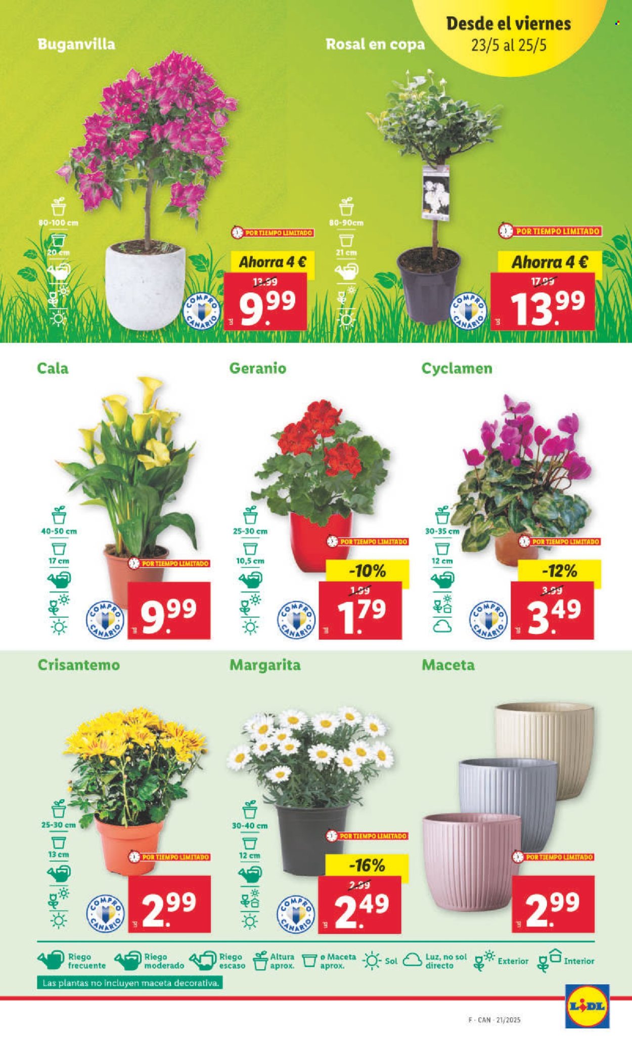 Folleto Lidl - 19/05/25 - 25/05/25. Página 1